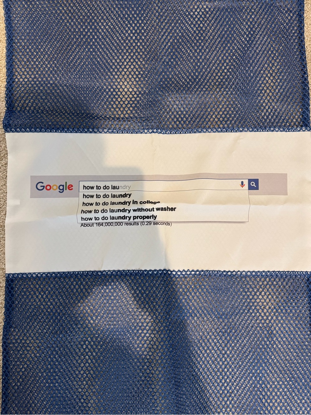 Google Laundry Bag